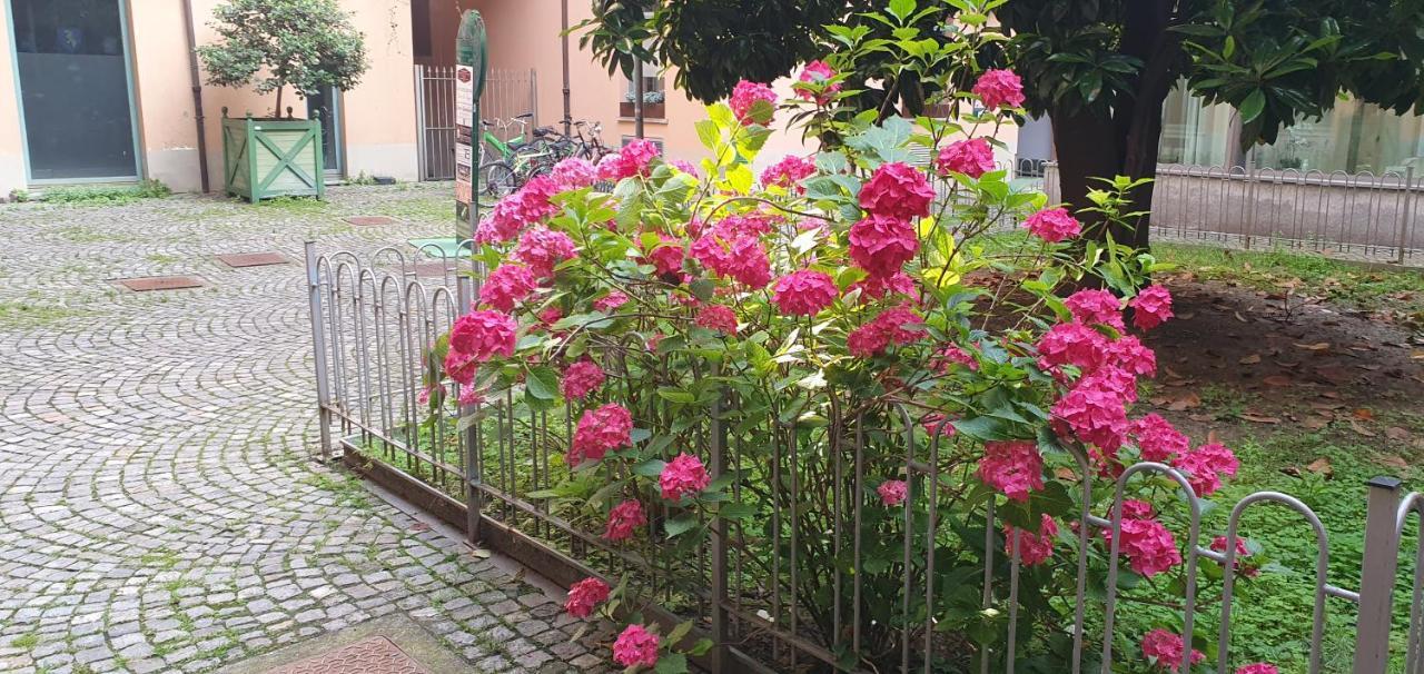 Central Loft Carina Ideale Per Visitare Il Centro Di Torino Exteriér fotografie